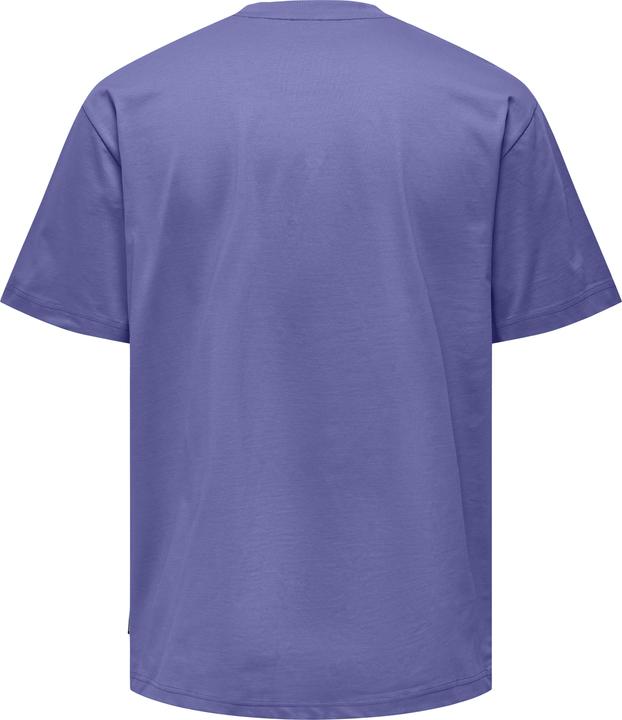Immagine prodotto Only & Sons T-shirt a girocollo loose fit (L)