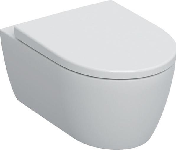 Actual product image Geberit Wall-hung WC