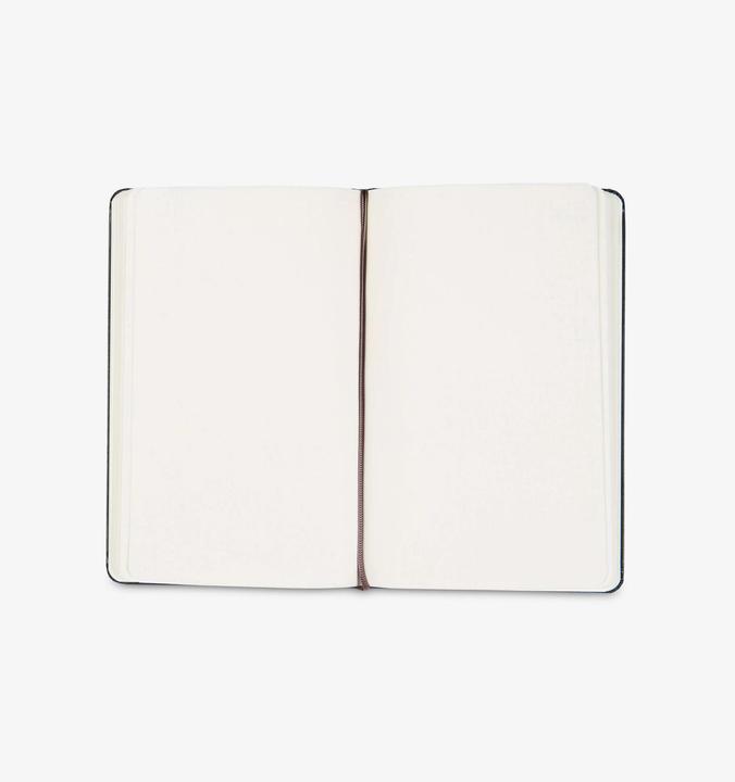 Actual product image Moleskine Classic Large (A5, Plain, Hardcover)