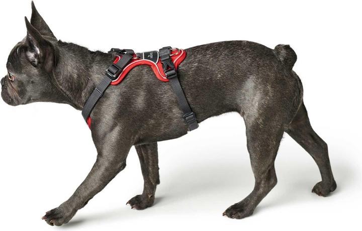 Actual product image Hunter Divo tableware (M, Dog, General)
