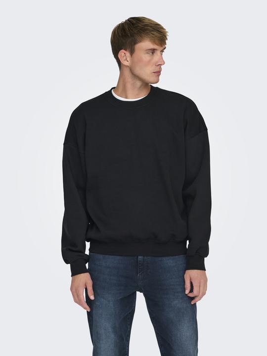 Image du produit Only & Sons Onsturner Life Vtg Crew Neck Sweat Noos (XS)