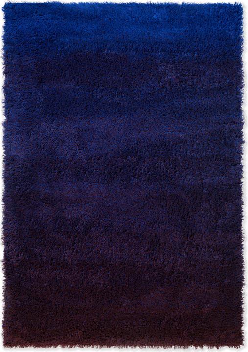 Bleu électrique, Aubergine
