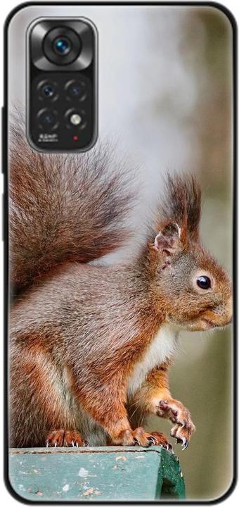 Squirrels