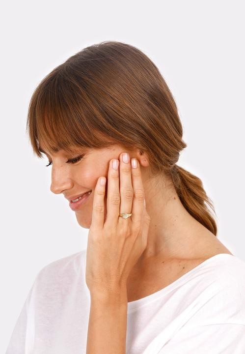 Image du produit Elli Siegelring Matt Optik (58, Argent 925)