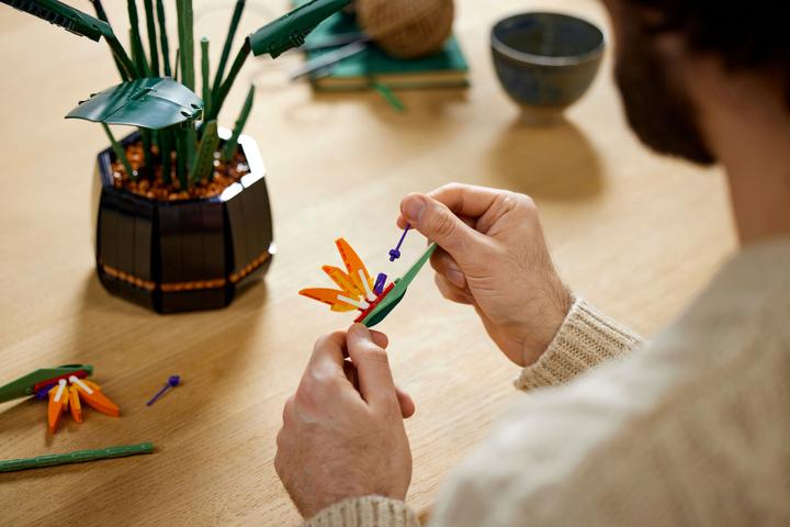 Produktbild LEGO Bird of Paradise (10289, LEGO Seltene Sets)