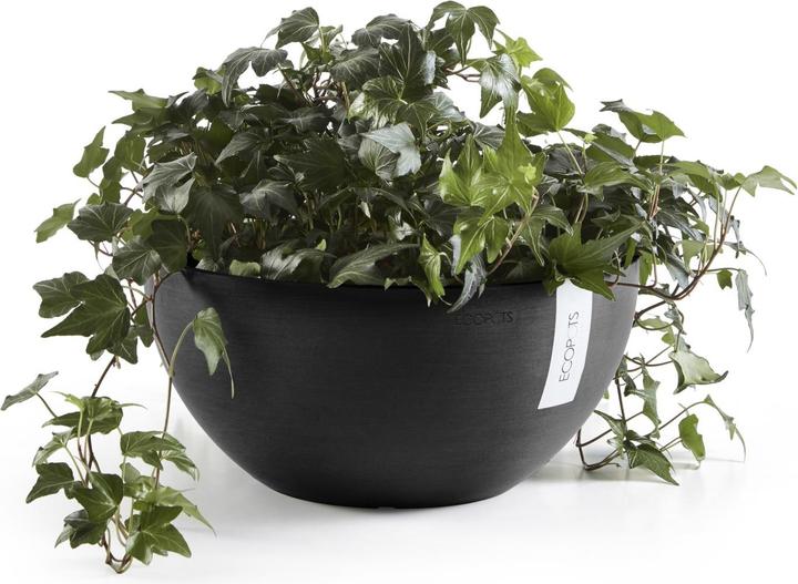 Immagine prodotto Ecopots Bruxelles (25 cm)