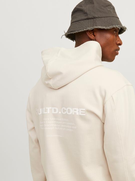 Produktbild Jack & Jones Jcoaero Print Sweat Hood Noos (L)