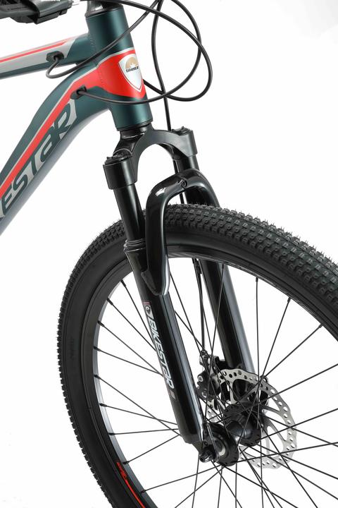 Actual product image Bikestar Hardtail mountain bike (40.64 cm)