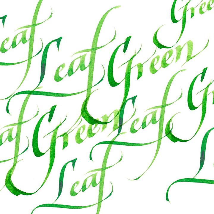Actual product image Winsor & Newton Ink Calligraphy Ink leaf (Inkwell, Green, 30 mm)
