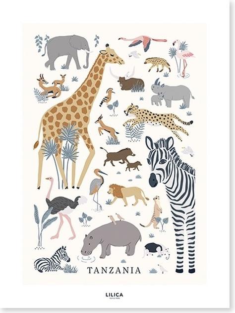 Produktbild Lilipinso Poster, Tiere des Dschungels (30 x 40 cm)