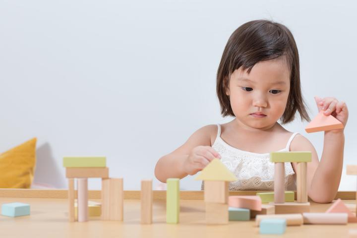 Image du produit Plantoys 40 blocs de bois pastel