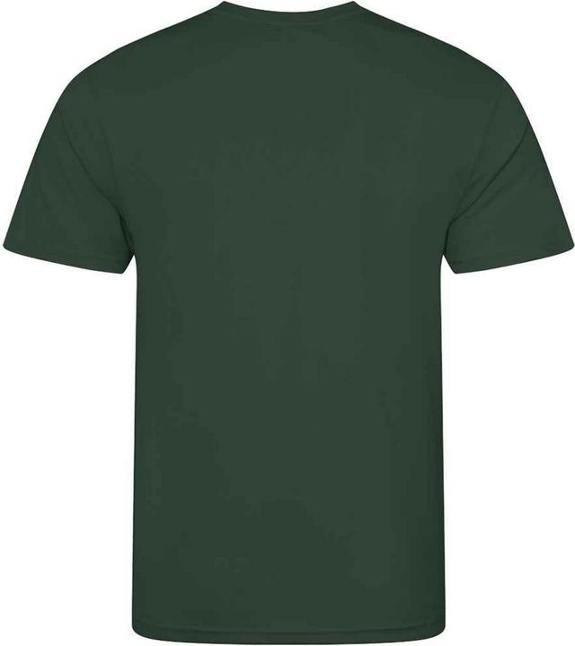 Actual product image Awdis Mens T-Shirt (L)