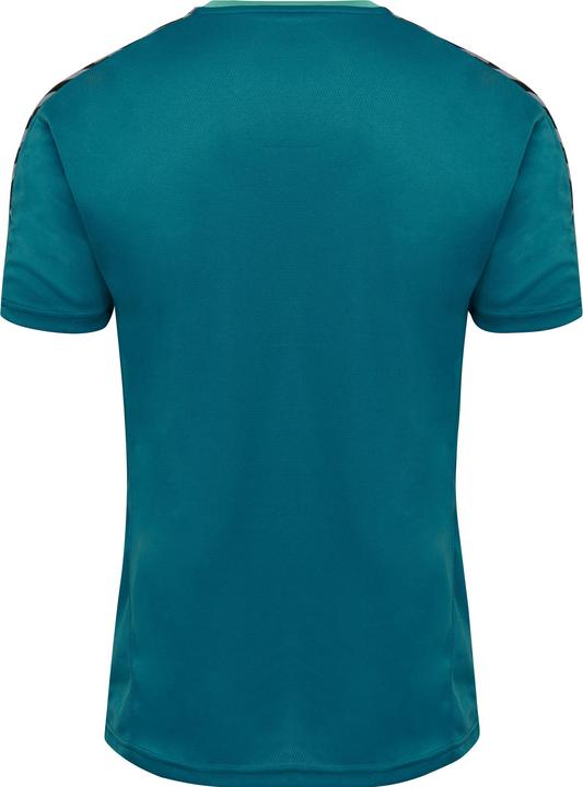 Actual product image hummel Authentic Poly Jersey S/S (L)