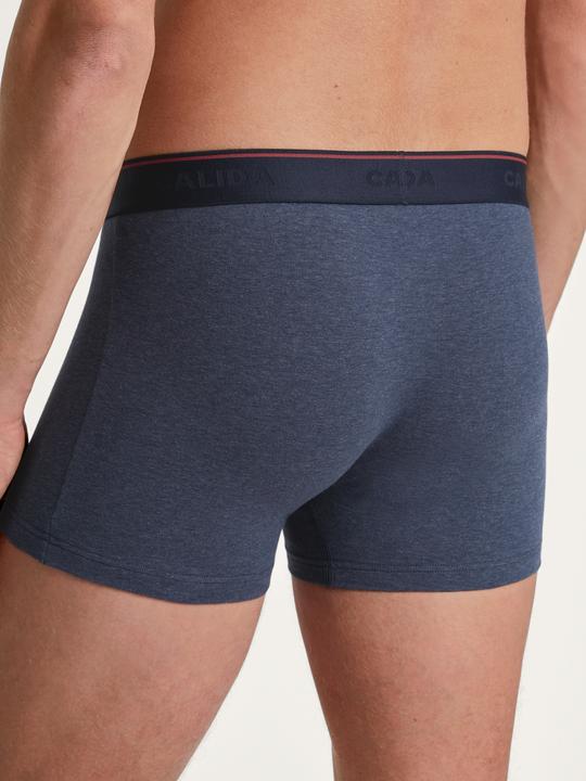 Actual product image Calida Cotton Special (M, Single pack)
