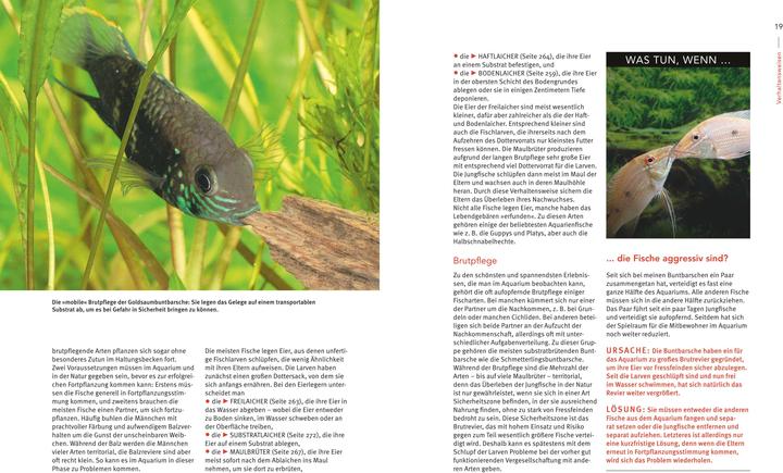 Image du produit Das grosse Praxishandbuch Aquarium (Allemand, Ulrich Schliewen, 2017)