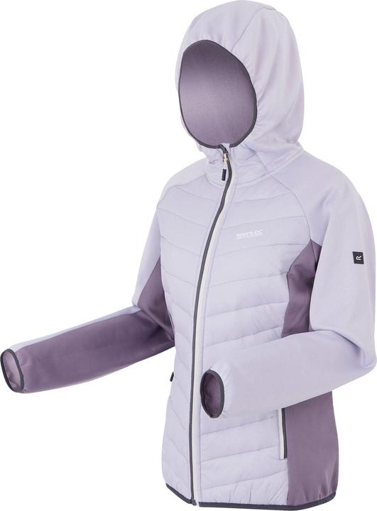 Image du produit Regatta - Veste hybride ANDRESON - Femme (40 D)
