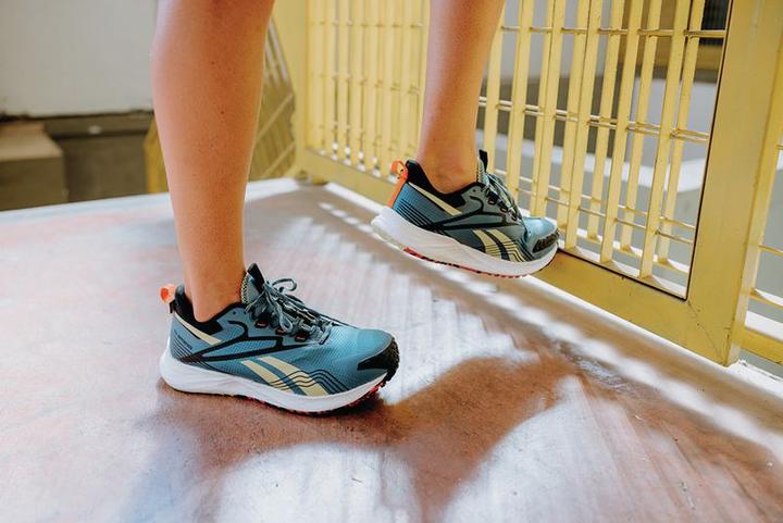 Actual product image Reebok FE4 Adventure Safety S1PS SR HRO Shoe Blue 46 (S1P, 46)