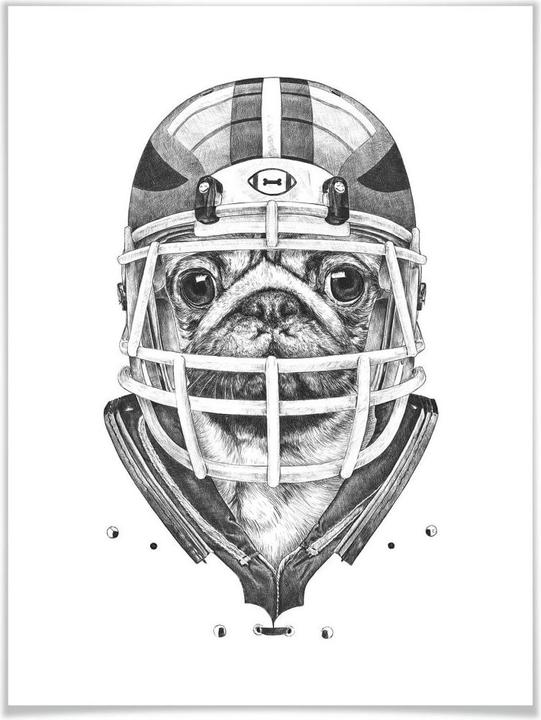 Actual product image Trenddeko American Pug Football (100 x 120 cm)