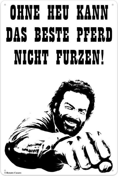 Blechschild Pferd/Faust (20 x 30 cm)