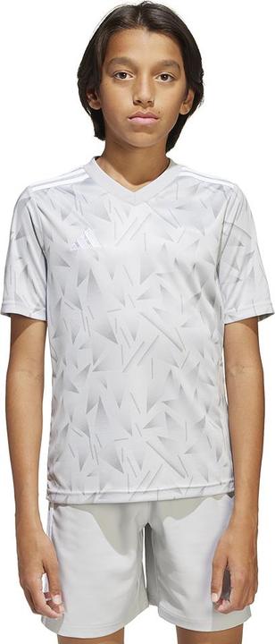 Image du produit adidas Maillot Team Icon 25 Enfants (128)