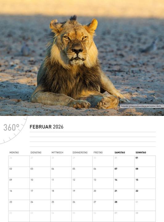 Produktbild NamibiaBroschürenkalender2026 (Deutsch)
