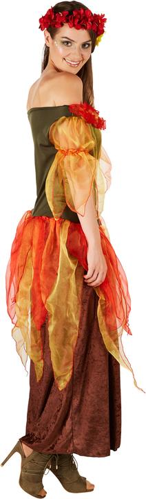 Image du produit Dressforfun Costume de fée de l’automne pour femme (XXL)