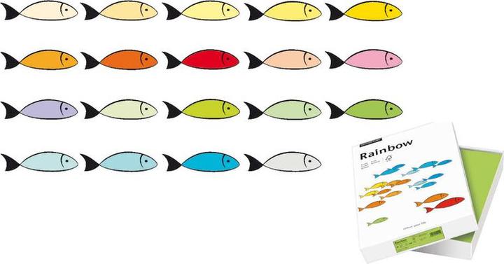 Actual product image Rainbow Copy paper (120 g/m², 250 x, A4)