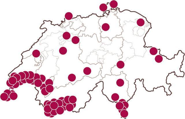 Immagine prodotto Smartbox Degustazione di vini (2 pers.)
