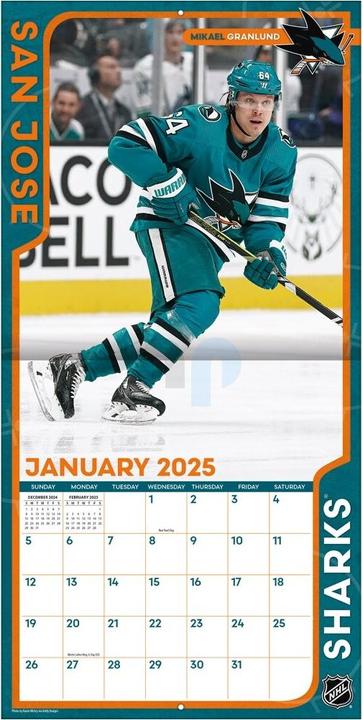 Immagine prodotto NHL - San Jose Sharks - Calendario murale d'équipe 30,5 x 30,5 cm 2025 (30,5 x 30,5 cm, Francese, Italiano, Spagnolo, Tedesco, Inglese)