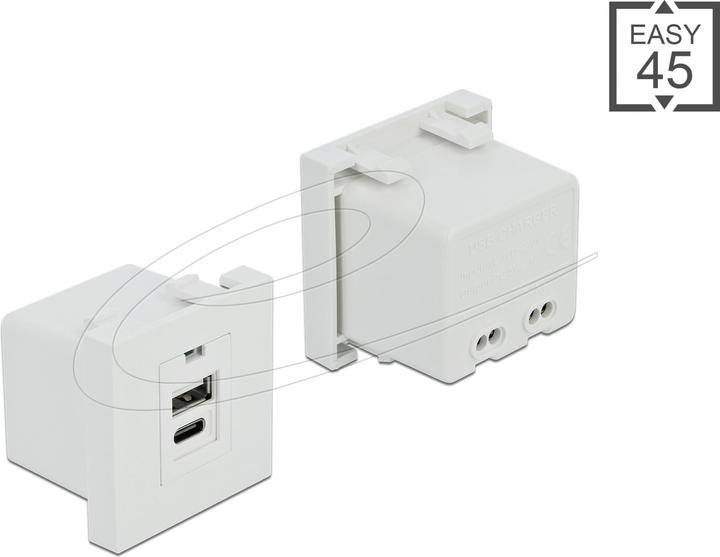 Delock Easy 45 USB charging port module 1 x USB Type-A + 1 x USB Type-C™. (0.05 m)