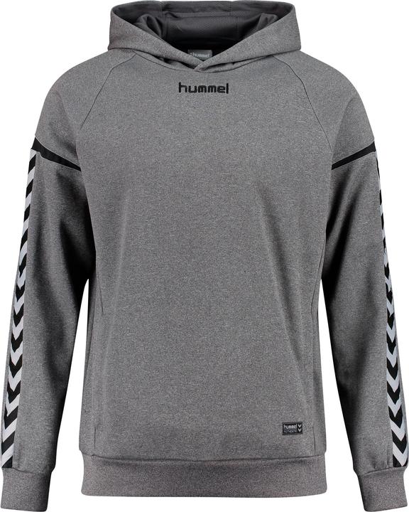 hummel Authentic Charge Poly Hoodie