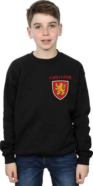 Image du produit - Sweat GRYFFINDOR LION FAUX POCKET - Garçon (104)