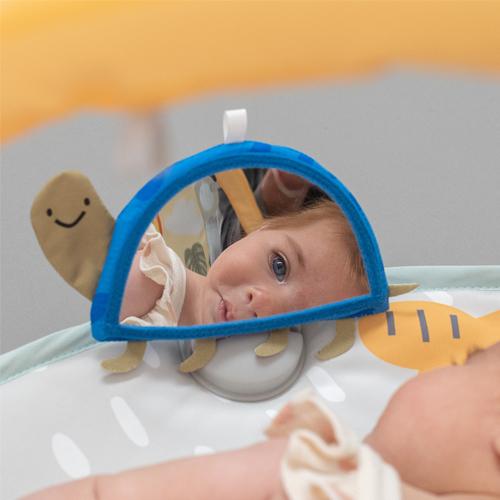 Image du produit Taf Toys Savannah