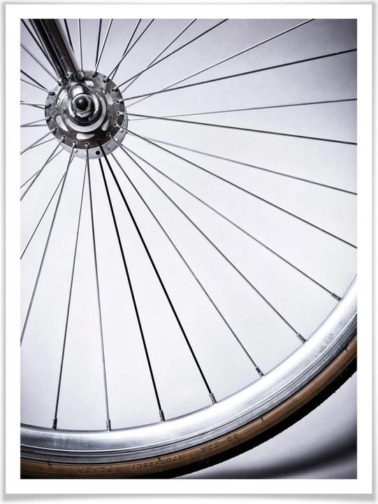 Immagine prodotto Trenddeko Raggi della bicicletta (30 x 40 cm)