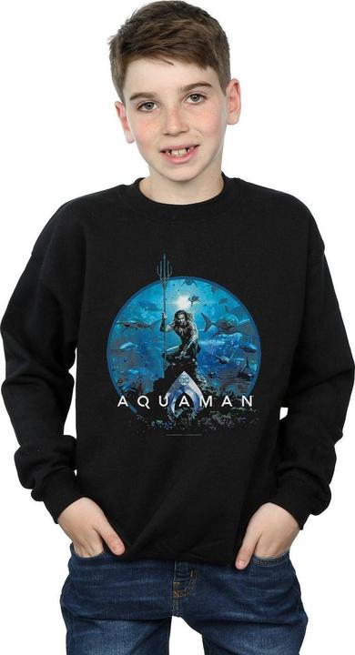 Produktbild Aquaman Circle Poster Sweatshirt Jungen (152, 158)