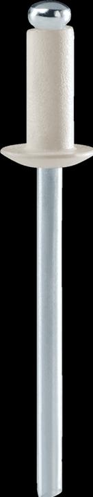 Actual product image Rapid White blind rivets Ø 4.8 x 12 mm