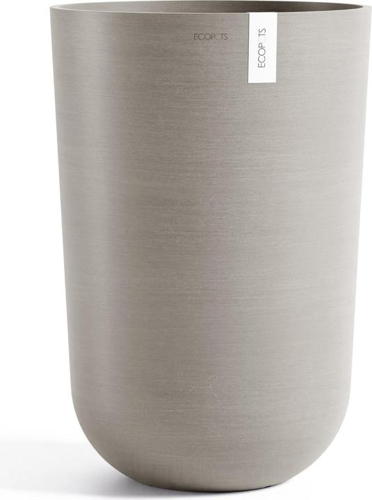 French Taupe