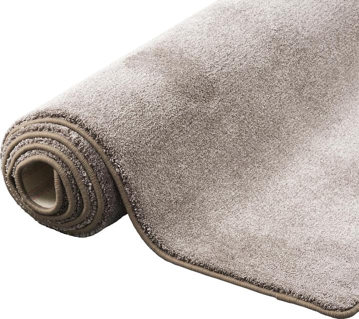 Produktbild Snapstyle Hochflor Luxus Velours Teppich Touch (200 x 250 cm)