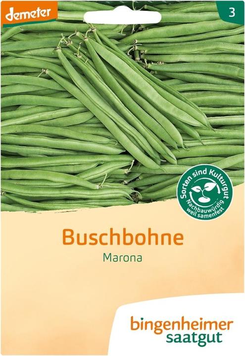 Produktbild Bingenheimer Saatgut Buschbohne Marona