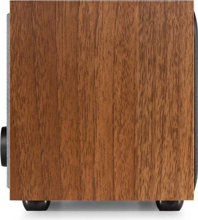 Immagine prodotto Audizio Internet Radio Rimini aspetto legno (Web radio, Bluetooth)