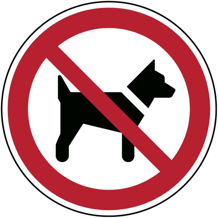 Image du produit Brady Panneau de sécurité ISO - Interdit aux chiens