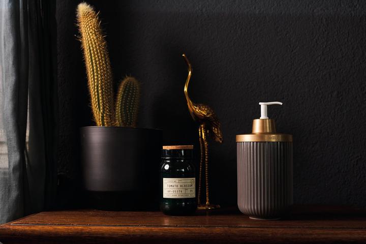 Image du produit Sterillium Protect & Care Emma
