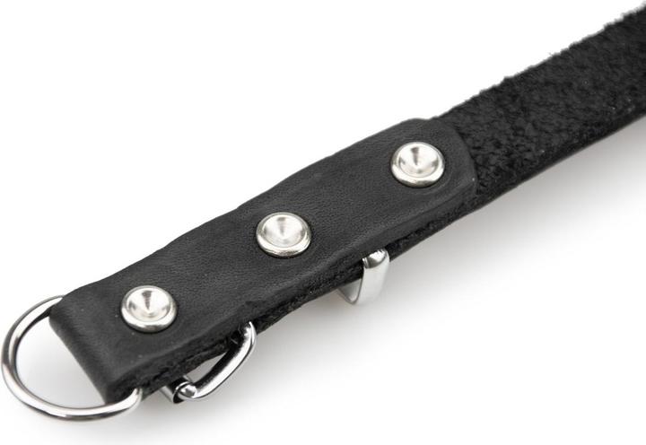 Produktbild Karlie Halsband Rondo mit Zugentlastung (XXL, Hund, Spazieren)