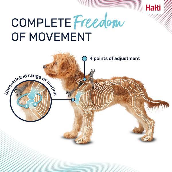 Immagine prodotto Company of Animals Pettorina per cuccioli Halti Anatomy XXS (XXS, Cane)