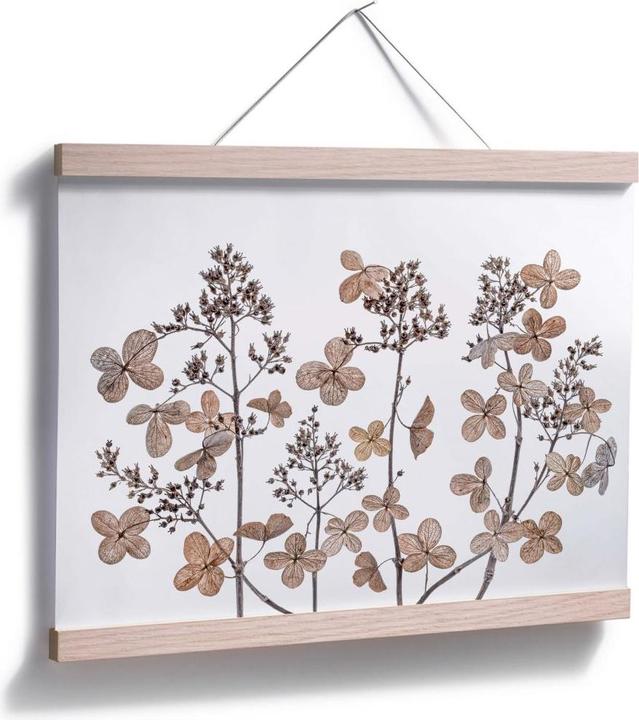 Image du produit Trenddeko Fleurs séchées (50 x 40 cm)