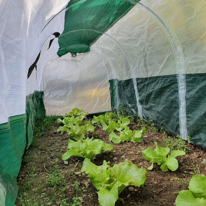 Produktbild Bio Green Super Dome