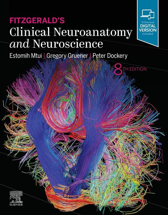 Produktbild Fitzgerald's Clinical Neuroanatomy and Neuroscience (Englisch, E. Mtui, G. Gruener, P. Dockery, Mtui Estomih, Dockery Peter, Gruener Gregory, 2020)