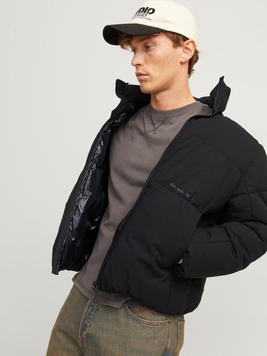 Image du produit Jack & Jones Veste matelassée Veste matelassée (L)