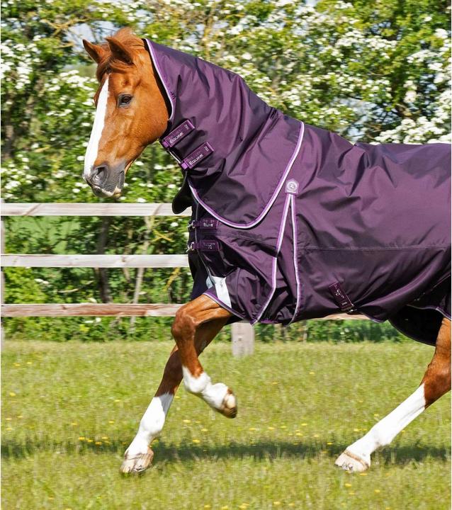 Produktbild Premier Equine Buster 70 g (213 cm)