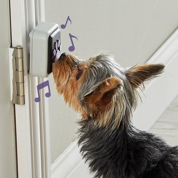 Actual product image Hunger for Words Talking Pet (Dog activity toy)